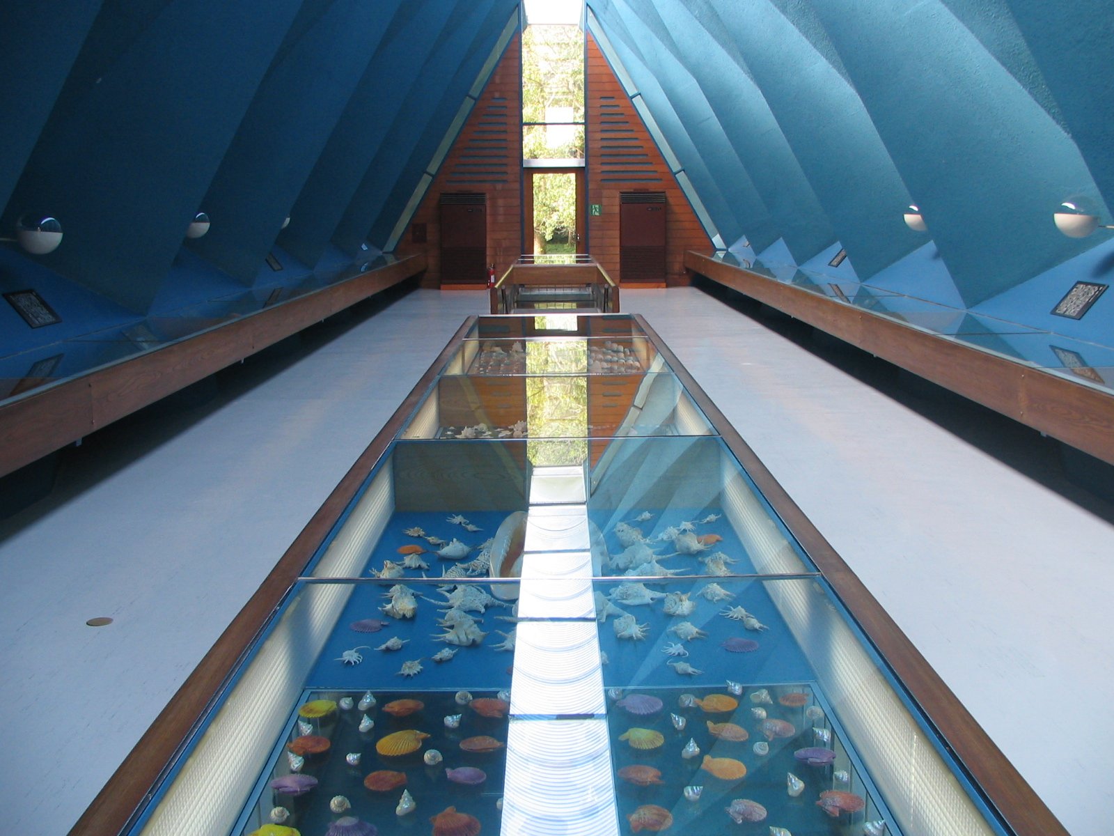 🏛️ 토사시미즈 시립 다쓰쿠시 조개류 전시관 바다의 갤러리 (토사시미즈 시리츠 타츠쿠시 카이루이 텐지칸 우미노갸라리) 이미지 1